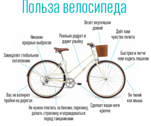 Есть ли польза от велосипеда?